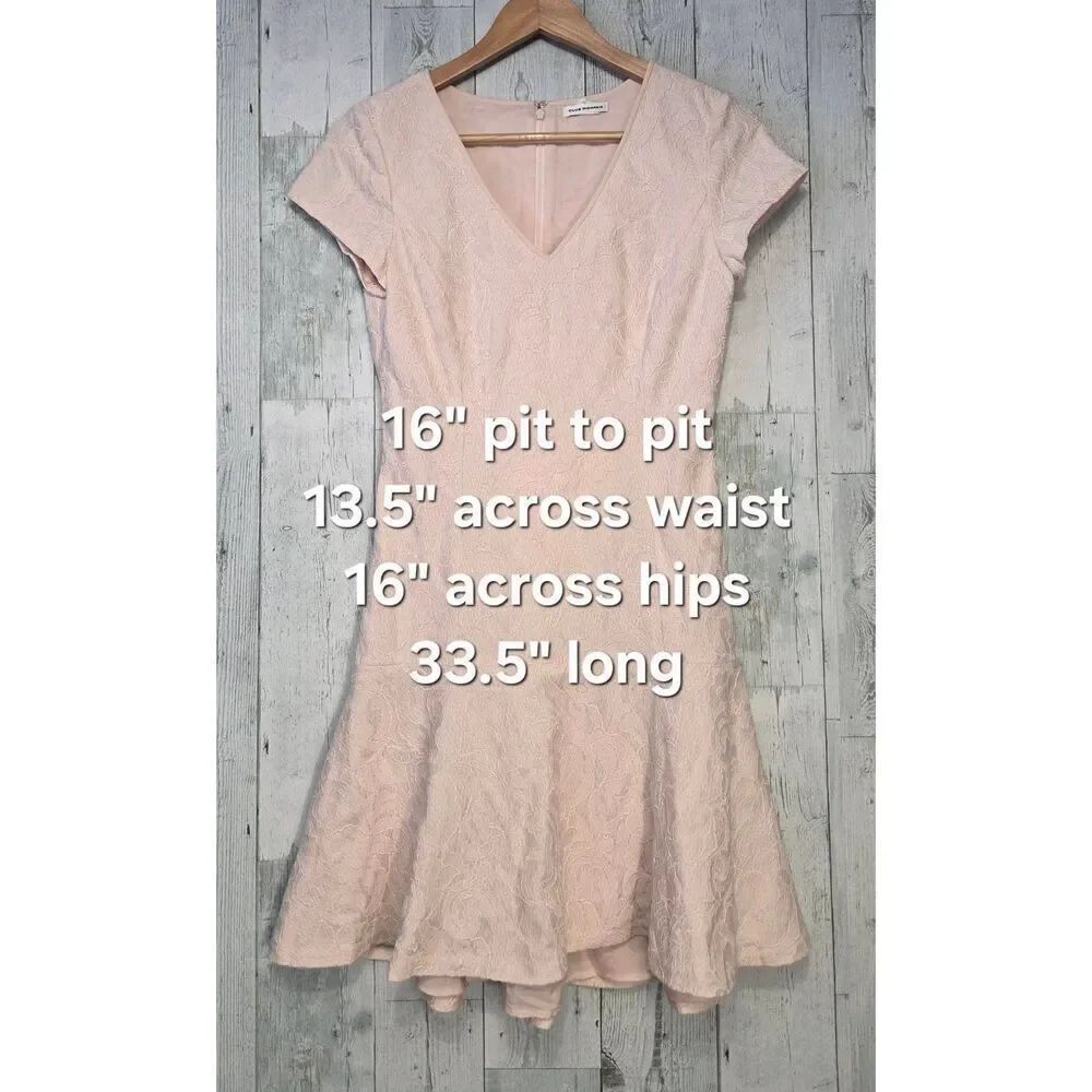 Club Monaco Darcia Drop Waist Blush Pink Lace Dress Sz. 2 - Picture 3 of 11